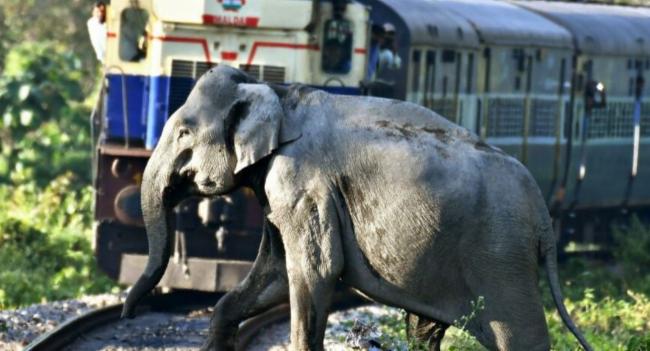 Rail Disruption After Train Derails Near Habarana
